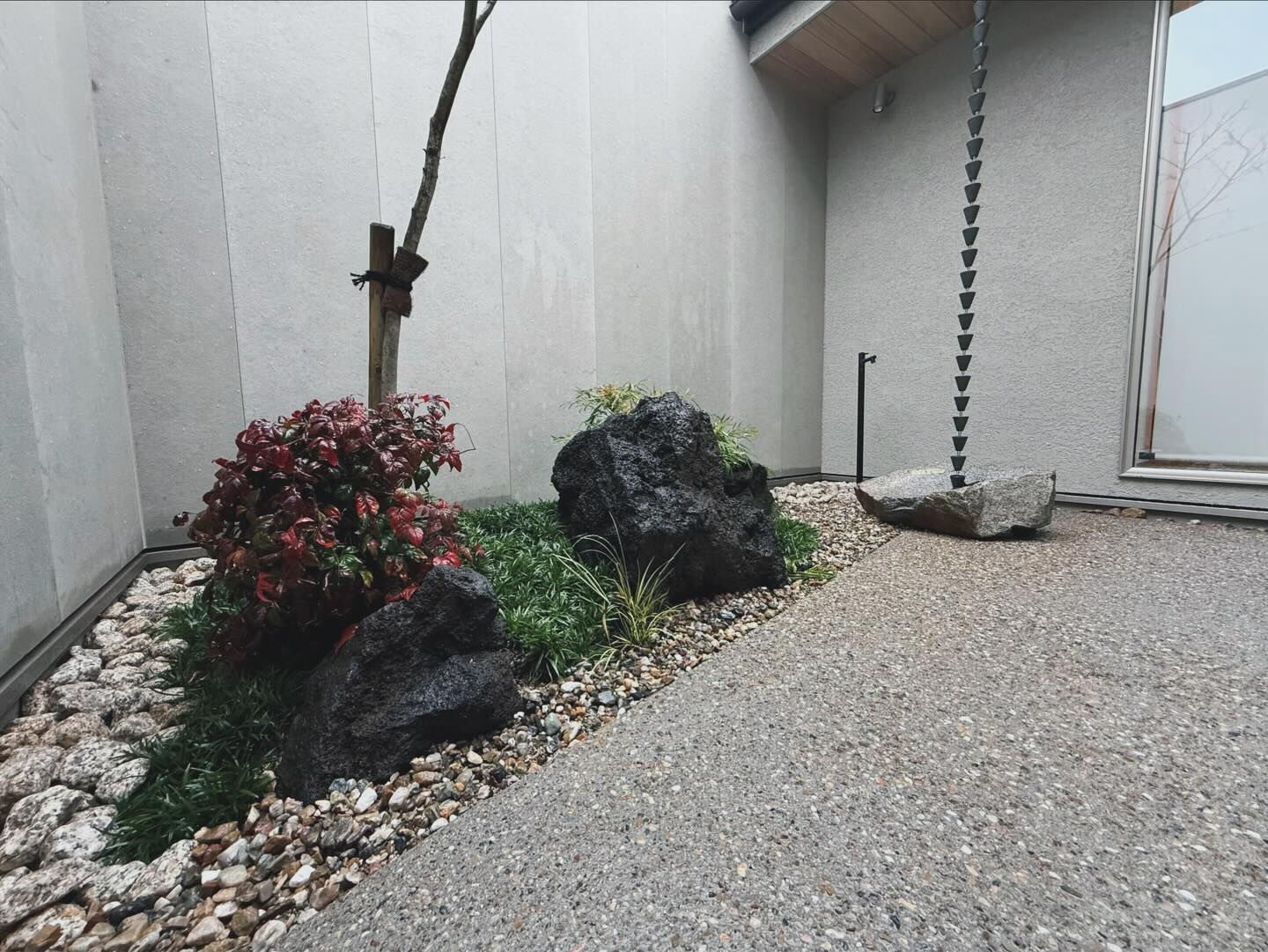 お疲れ様です🌵